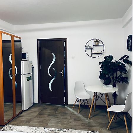 Studio Vio Apartman Tulcsa Kültér fotó