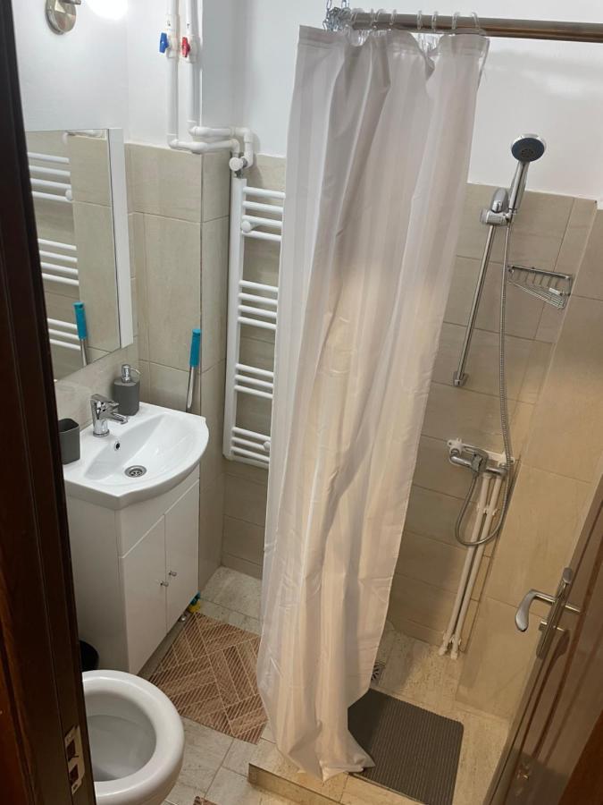 Studio Vio Apartman Tulcsa Kültér fotó
